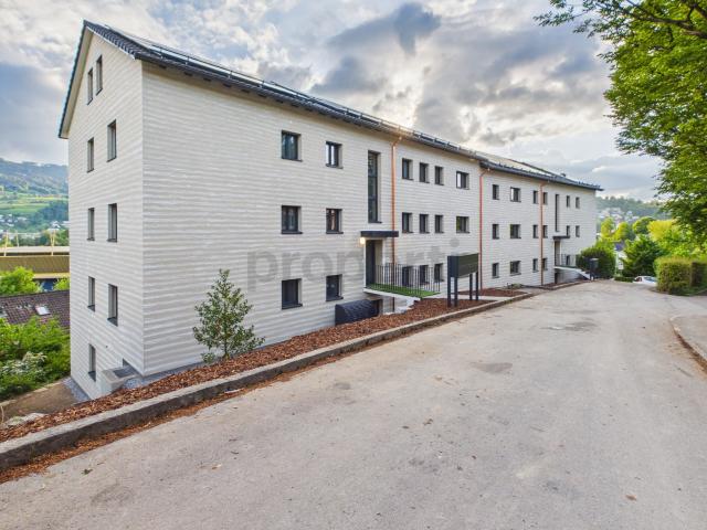 Erstbezug nach Renovation Moderne 1.5 Zimmer Wohnung mit Pilatusblick