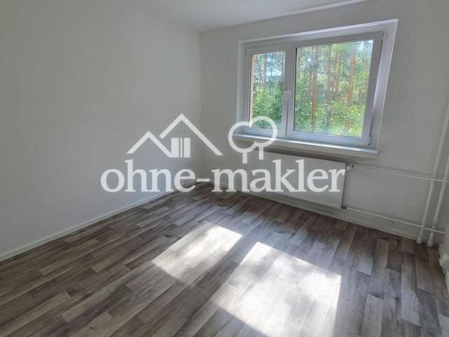 Erstbezug nach Sanierung! 3 Zi.Whg. mit Balkon in Walddrehna