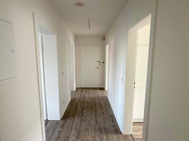 Erstbezug nach Sanierung 3 Zimmer Wohnung mit Loggia