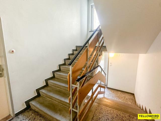 Erstbezug nach Sanierung! Helle 2 Zimmer Wohnung mit Lift und Cobenzl Blick WG geeignet