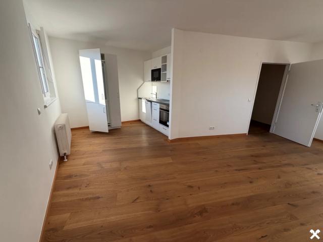 Erstbezug nach Sanierung: Innenstadtfeeling pur Charmantes City Apartment am Tummelplatz