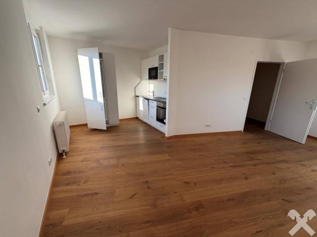 Erstbezug nach Sanierung: Innenstadtfeeling pur Charmantes City Apartment am Tummelplatz
