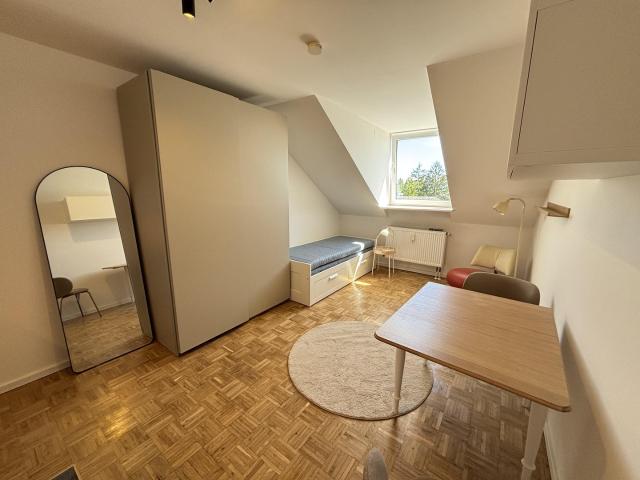 Erstbezug nach Sanierung – Ruhiges 1 Zimmer Apartment in zentraler Lage