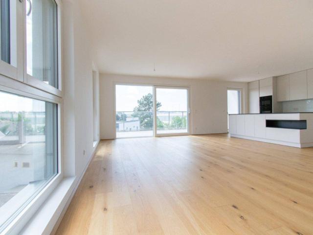 ERSTBEZUG: PENTHOUSE MIT 3 TERRASSEN DIREKT BEI DER U BAHN U1 !