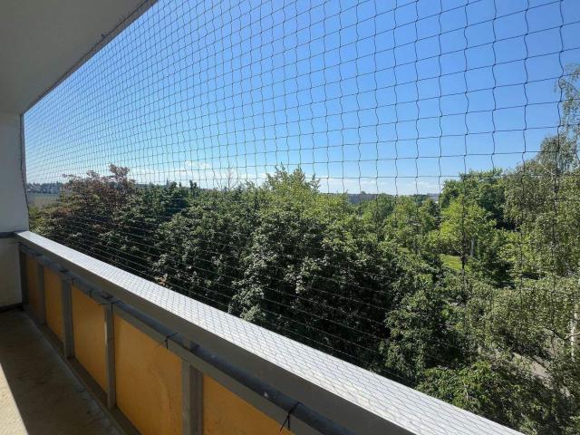 Erste eigene Wohnung gesucht? Modernisierte 1 RW mit Balkon + EBK auf Wunsch