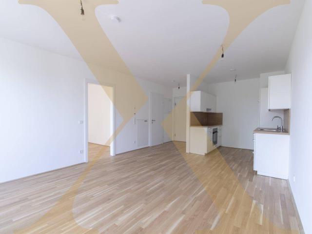 Erstklassige 2 Zimmer Wohnung mit tollem Ostbalkon in Linz nahe Hummelhofwald zu vermieten!
