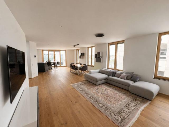 Erstklassige Penthouse Wohnung mitten in Ulm