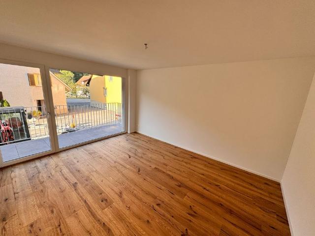 Erstvermietung 2 MFH Kirchweg 358 / 359 in Zullwil – Modern wohnen im Grünen