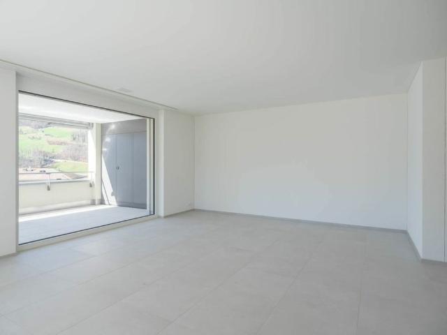 Erstvermietung: 2.5 Zimmer Attikawohnung mit Bergblick