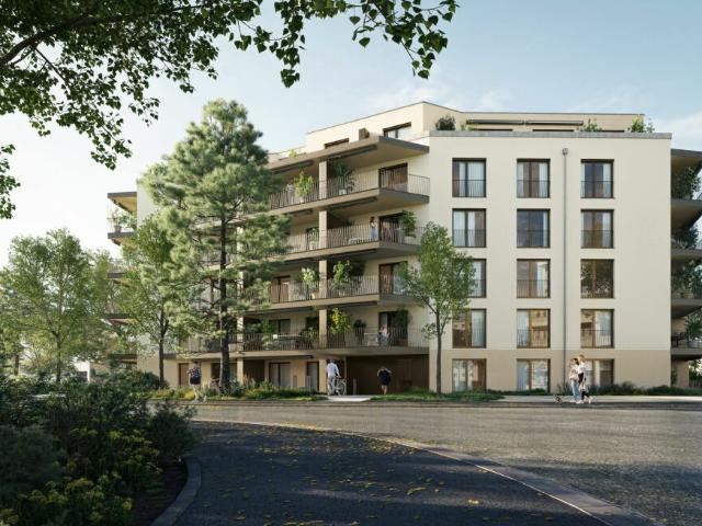 Erstvermietung 2.5 Zimmer Wohnung EG Altwiesenstrasse 372