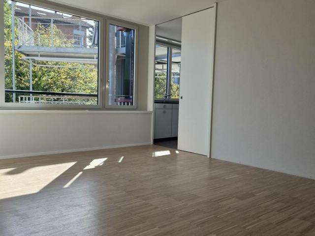 Erstvermietung 3.5 Zimmerwohnung Libellenhof mit möglichem Belegung.