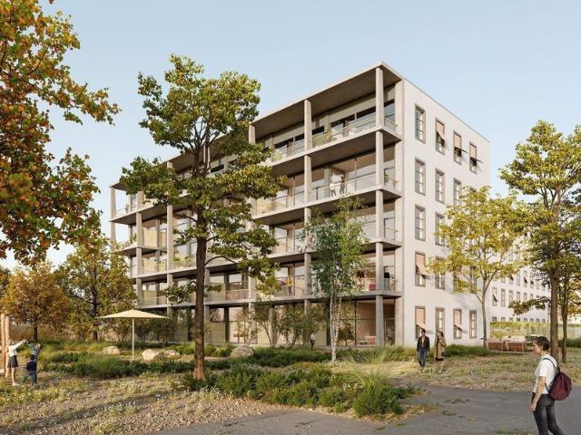 Erstvermietung Grosszügige Wohnung mit Balkon