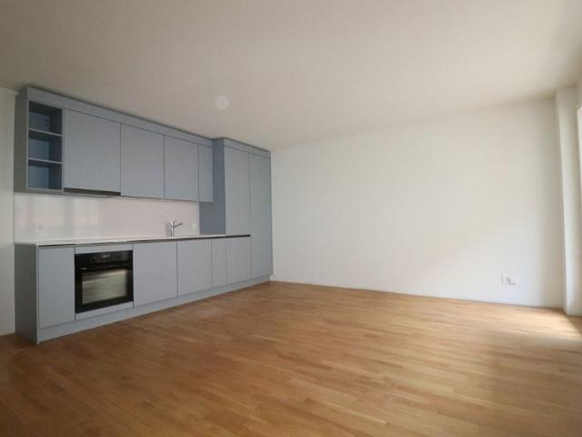 Erstvermietung nach Neuausbau 2 ½ Zimmer Wohnung im Gundeli nähe Bahnhof SBB