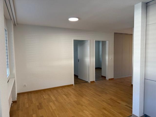 Erstvermietung nach Sanierung – grosszügige 4.5 Zimmer Wohnung mit Balkon