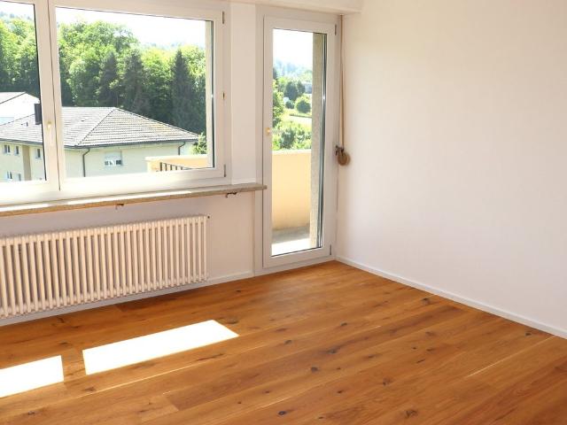 Erstvermietung nach Totalsanierung grosszügige 2.0 Zi. Wohnungen mit Balkon