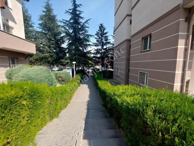 'eryaman Efor'dan Katta Eşyalı 1+1 Kiralık Daire