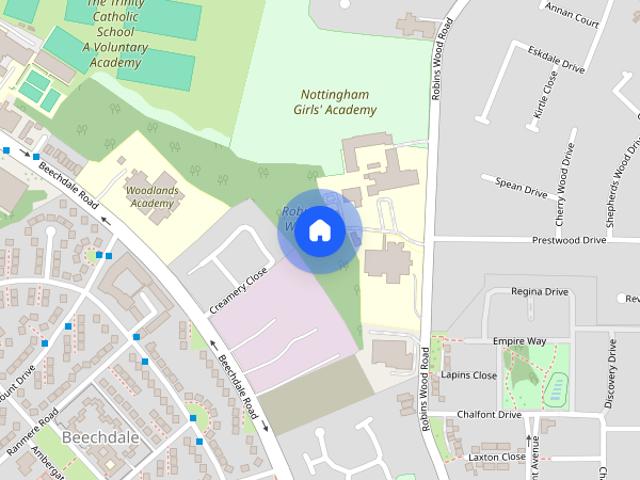 Etching Drive, Nottingham, Nottinghamshire, NG8
