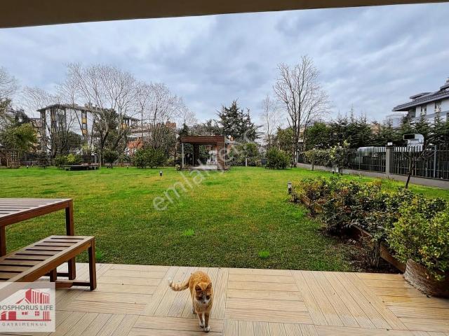 Etilerde 250 M² Bahçeli, Yerden Isıtmalı 2+1 Kiralık