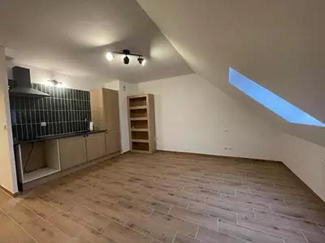 Etréchy 91580 Location appartement 1 pièce t1 au dernier étage
