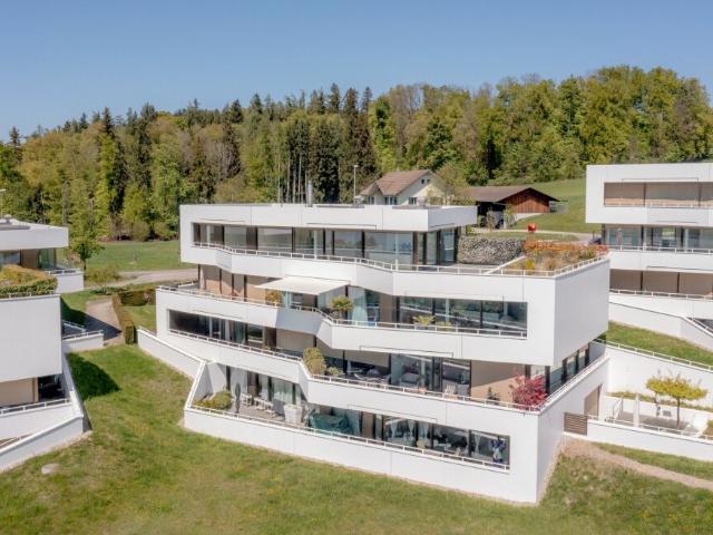 Moderne 3.5 Zimmer Wohnung mit Weit und Alpensicht in Uetikon am See
