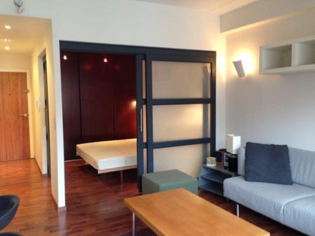 European Area Lovely furnished flat 45m²