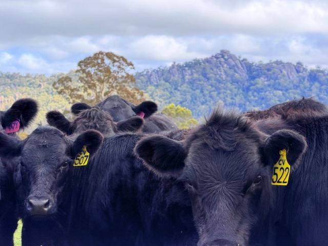 Evans Jewel 43.78 hectares | 108.13 acres
