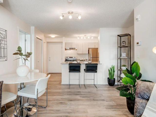 Evanston Ridge — Discovery