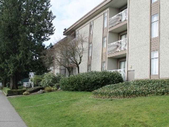 EVERGREEN APARTMENTS One Bedroom Apartment for Rent