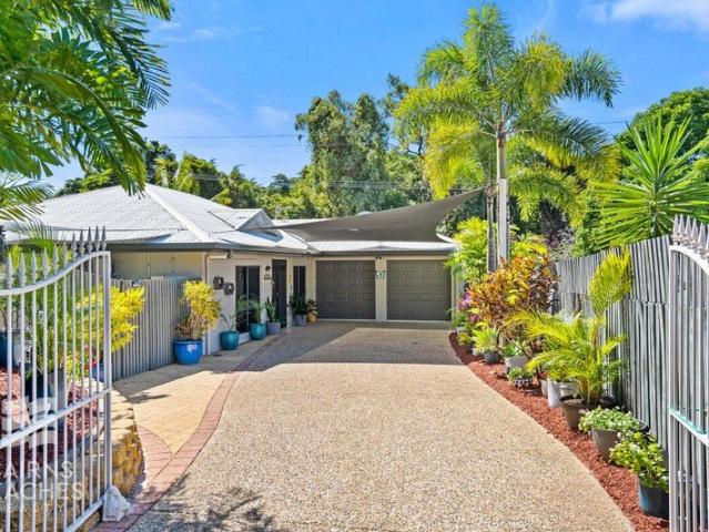 Everything You Love About Palm Cove Starts Here