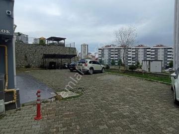 Fatsa, Ordu'da kiralık Daire - Panorami̇k manzara