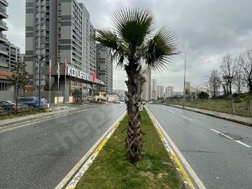 EVSERden 5. LEVENT TORUNLAR KORUPARK REZİDANSTA ORMAN MANZARALI