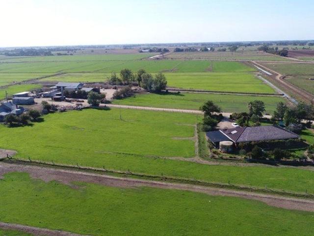 EX DAIRY FARM or GRAZING PROPERTY