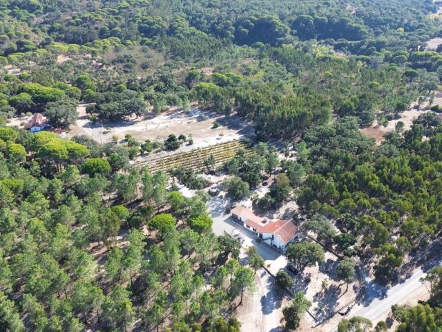 Excecional Quinta de 4 Hectares com Vista Mar – Melides, Grâ. 109m² Melides