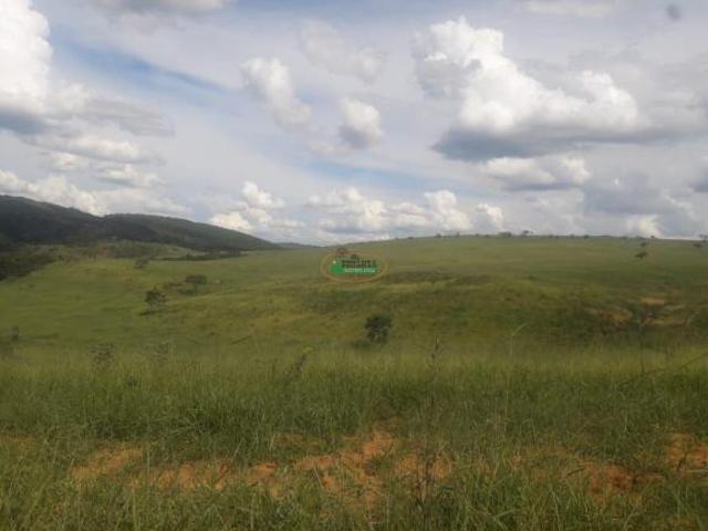 Excelelnte fazenda em Passa Tempo MG!