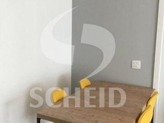 Excelente Apartamento