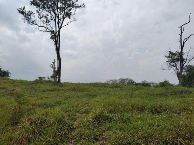 EXCELENTE ÁREA A VENDA, ÓTIMA PARA POUSADAS, OU SITIO PARA VERANEIO