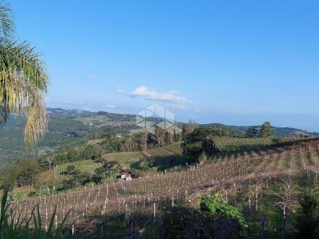 Excelente área de 17ha em Monte Belo do Sul, com vista ao rio