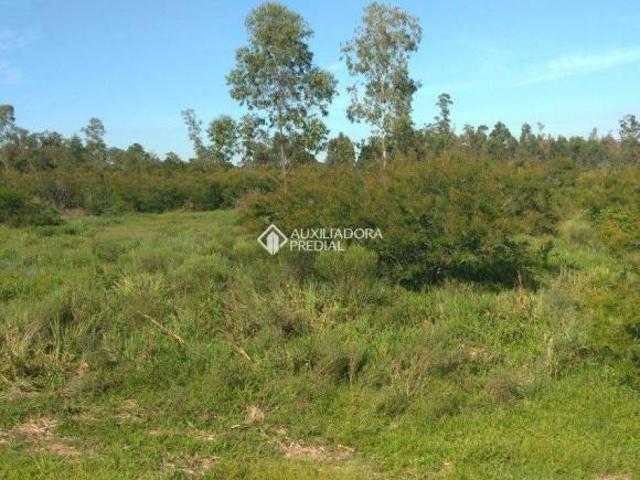 Excelente área de terra com 19,30 hectares