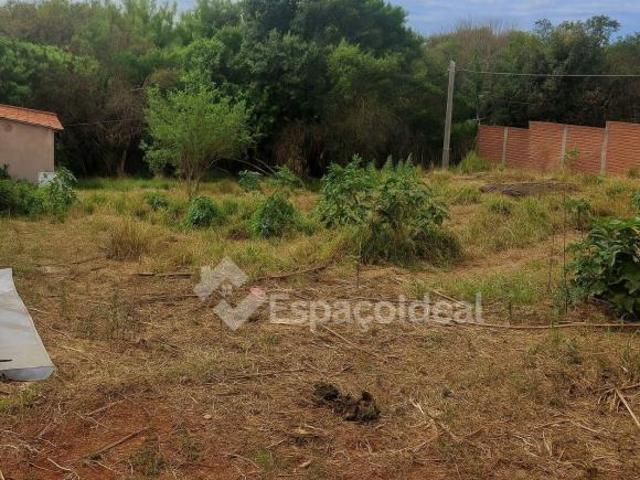 EXCELENTE ÁREA DE TERRA PARA CHÁCARA COM RIO AO FUNDO