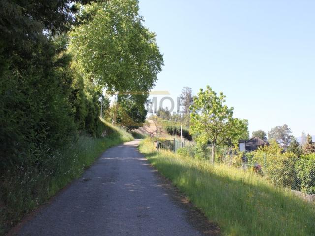 Excelente área de terreno toda junta 8.209 m2 a 7 Km de Monção Longos Vales