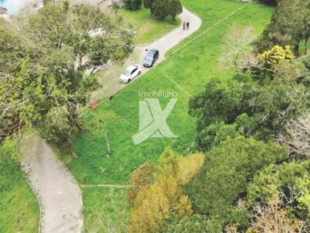 Excelente Área para MCMV em Mandirituba com 7.734,75 m²