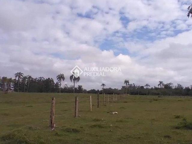 EXCELENTE AREA PLANA