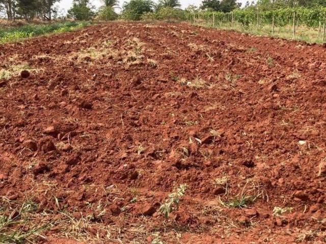 Excelente Área Rural à Venda – 27 Alqueires | Altíssimo Potencial Agrícola