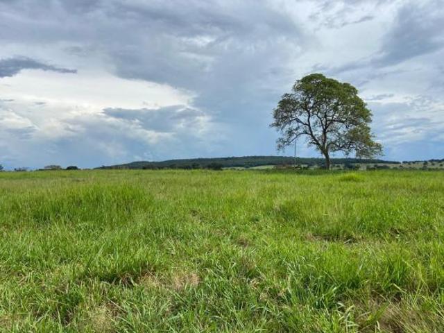 Excelente fazenda 88 alqueires em Quirinópolis