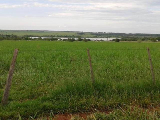 EXCELENTE FAZENDA A VENDA NA PECUÁRIA NA REGIÃO DE PRESIDENTE PRUDENTE SP ? Área Total: 390 Alq