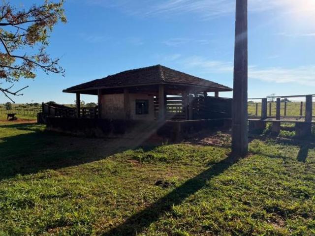 EXCELENTE FAZENDA A VENDA NA REGIÃO DE TEODORO SAMPAIO SP* ? ? *OPORTUNIDADE DE NEGÓCIO* ? F