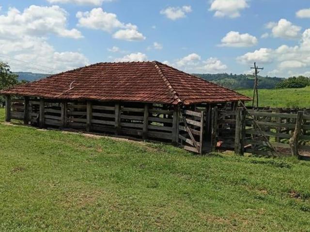 EXCELENTE FAZENDA A VENDA NA REGIÃO DE MARÍLIA SP* ? Fazenda Montada e Estruturada na Pecuária B