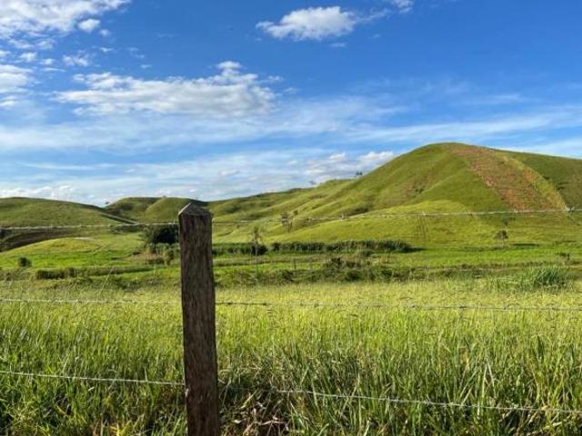 EXCELENTE FAZENDA A VENDA NO VALE DO PARAÍBA NO ESTADO DE SÃO PAULO SP* ? Área Total: 330 Alque