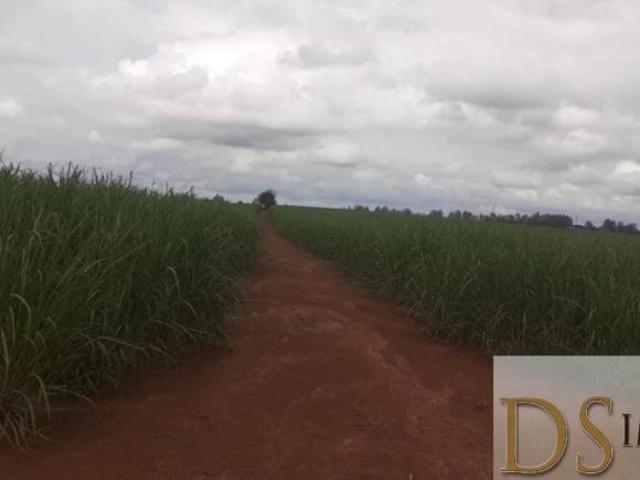 Excelente Fazenda A Venda Com Cana Em Tatuí sp, Com 126,7 Alqueires De Área Total, Boa De Água, Topo