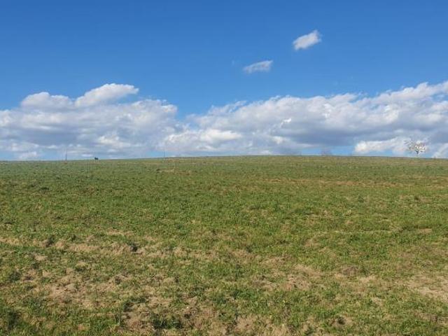 EXCELENTE FAZENDA A VENDA EM BOTUCATU SP ? Área Total 102 Alqueires 80% de Aproveitamento Toda